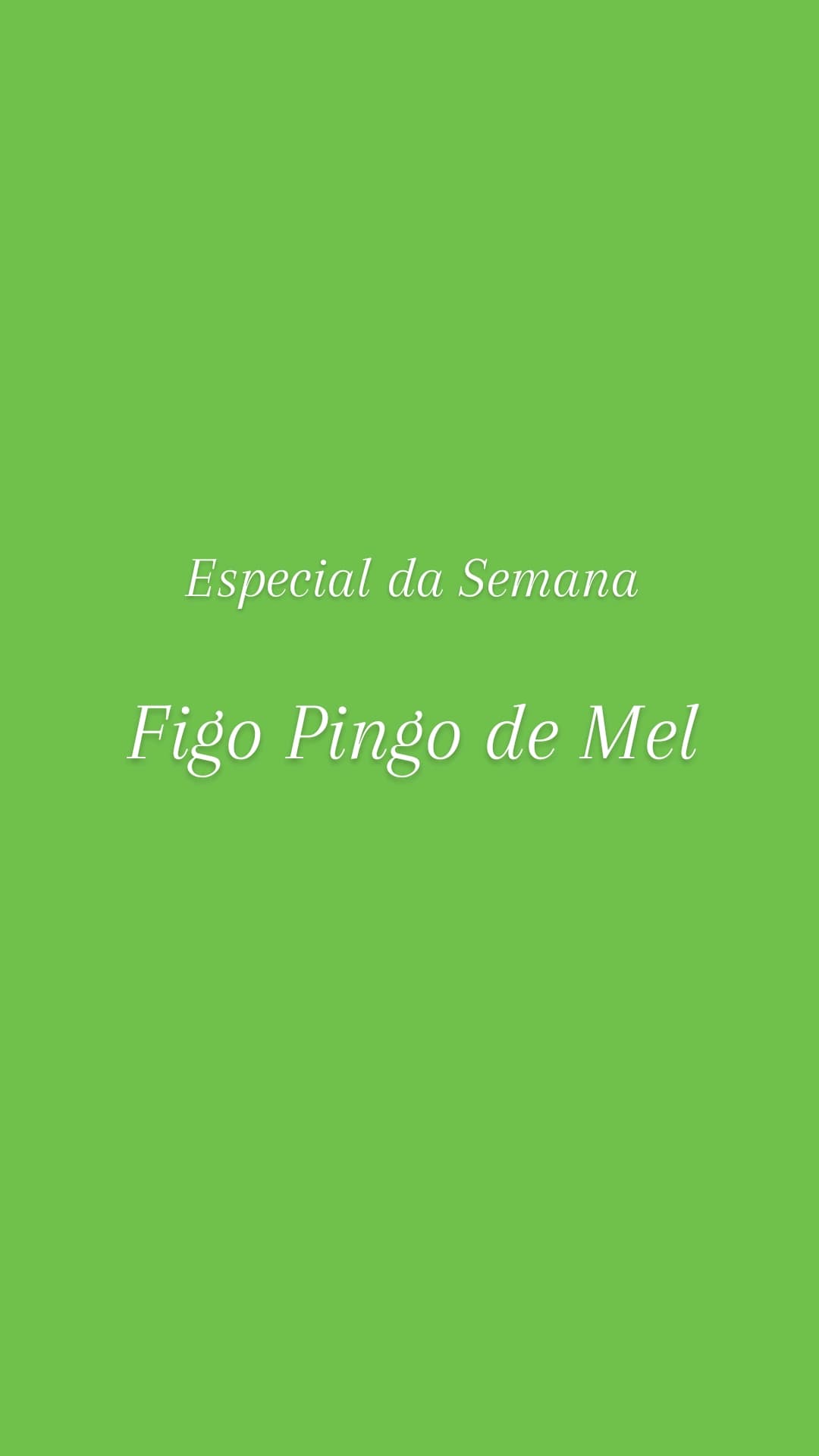Figo Pingo de Mel