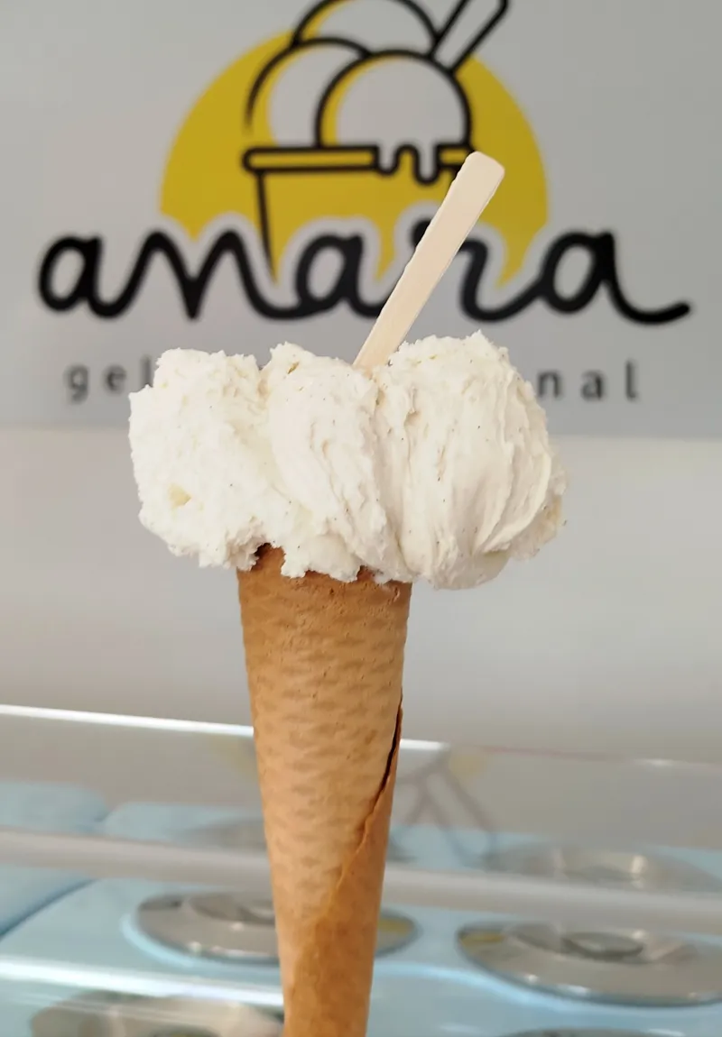 Madagascan Bourbon Vanilla artisanal gelato — Anara Gelado Artesanal