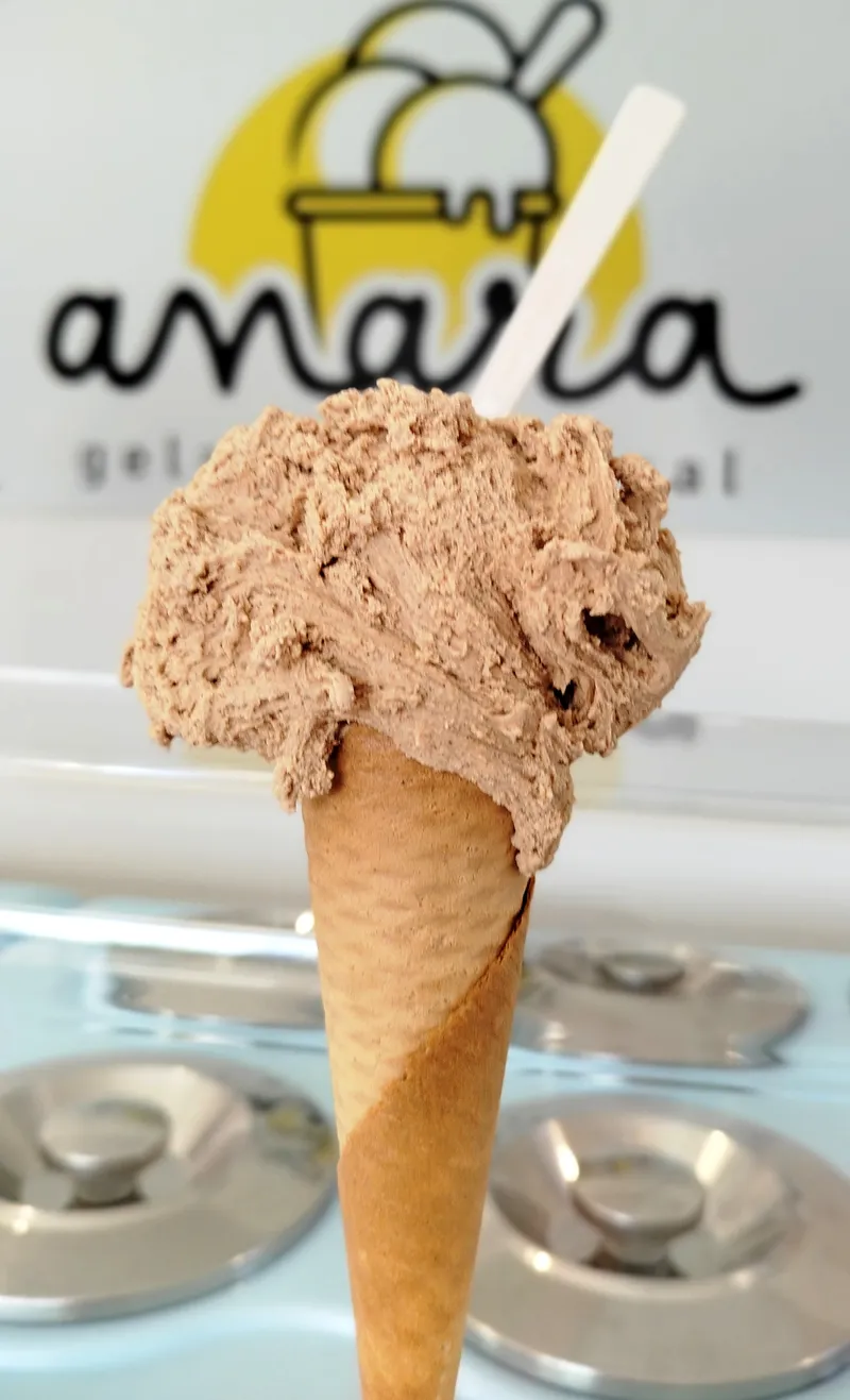 Cinnamon artisanal gelato — Anara Gelado Artesanal