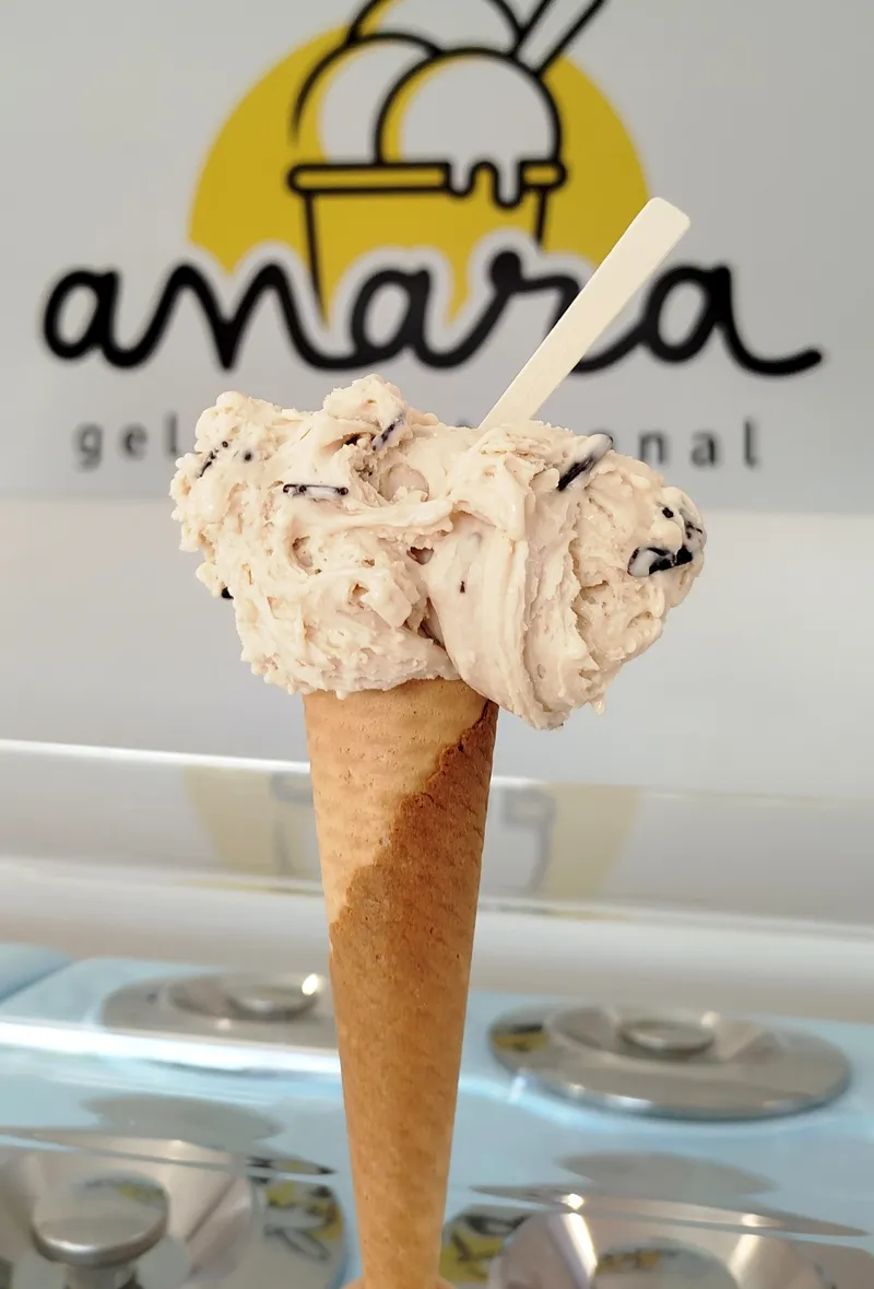 Peanut with Chocolate Chunks artisanal gelato — Anara Gelado Artesanal