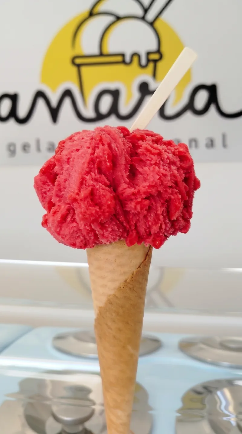 Raspberry artisanal gelato — Anara Gelado Artesanal