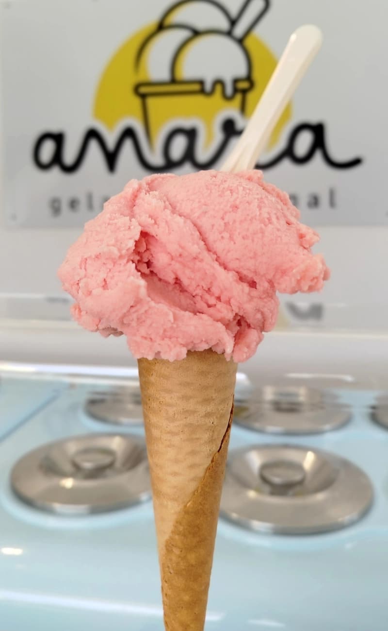 Watermelon artisanal gelato — Anara Gelado Artesanal
